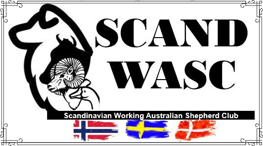 Scandinavian Working Australian Shepherd Club 